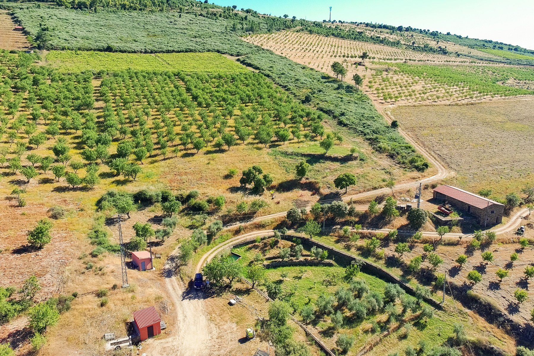  Country Estate for Sale - 物件實景