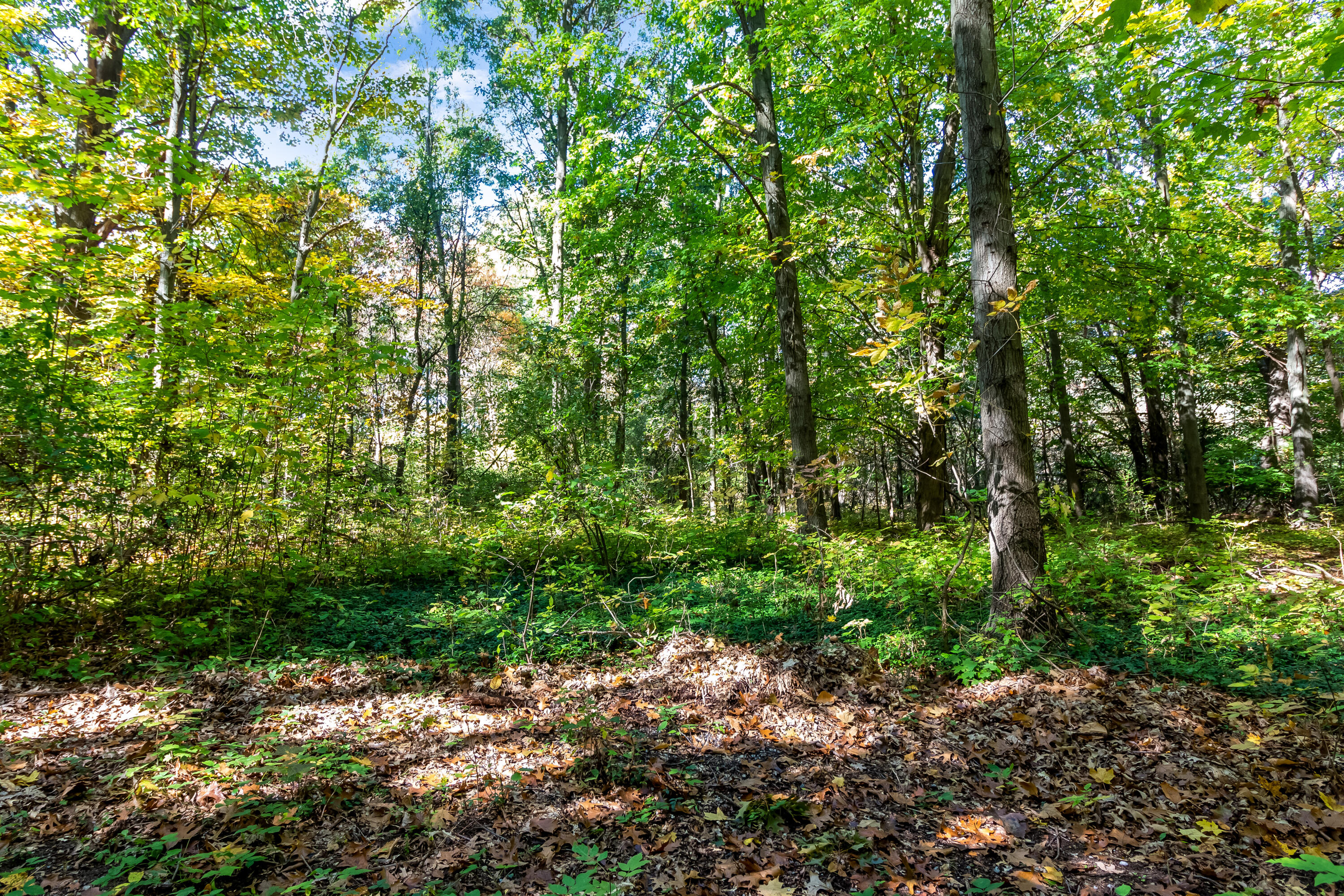 Fennville, Michigan, 49408, United States, 3 Bedrooms Bedrooms, ,3 BathroomsBathrooms,Residential,For Sale,1974475