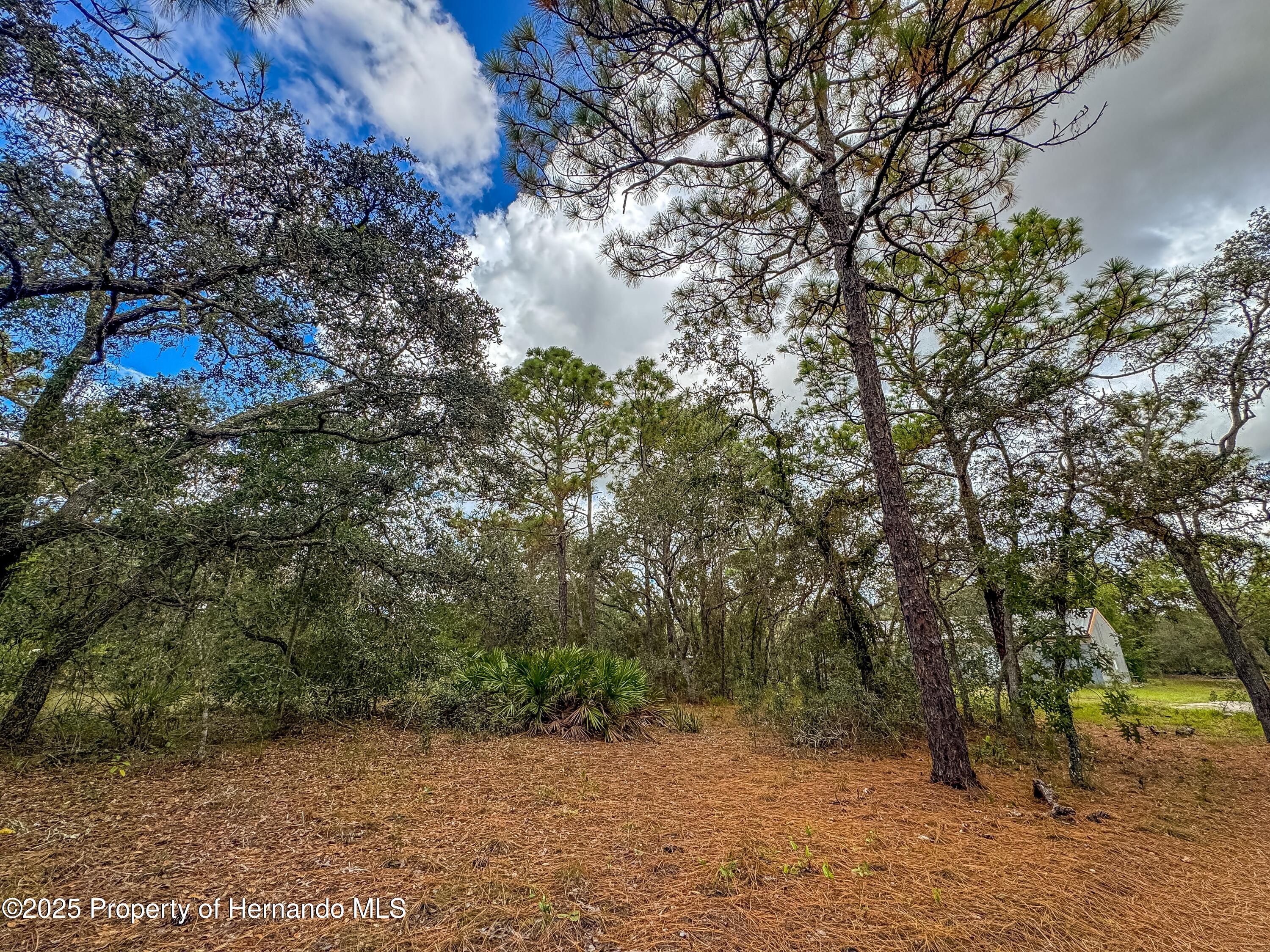 Brooksville, Florida, 34613, United States, 4 Bedrooms Bedrooms, ,2 BathroomsBathrooms,Residential,For Sale,1975088