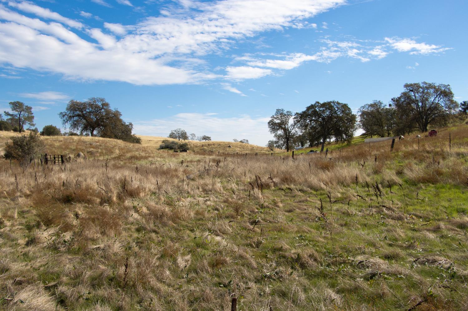 Coarsegold, California, 93614, United States, ,Residential,For Sale,2006211