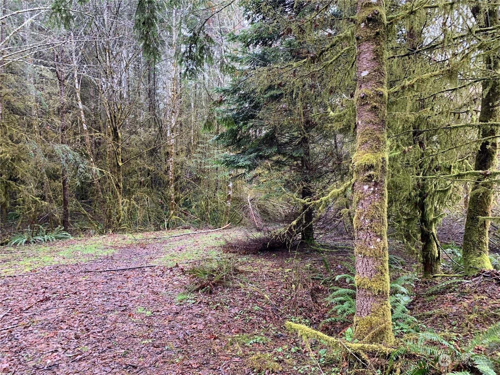 0 Fallert Road, Kalama, Washington, 98625, United States, ,Land,For Sale,0 Fallert Road,1273199
