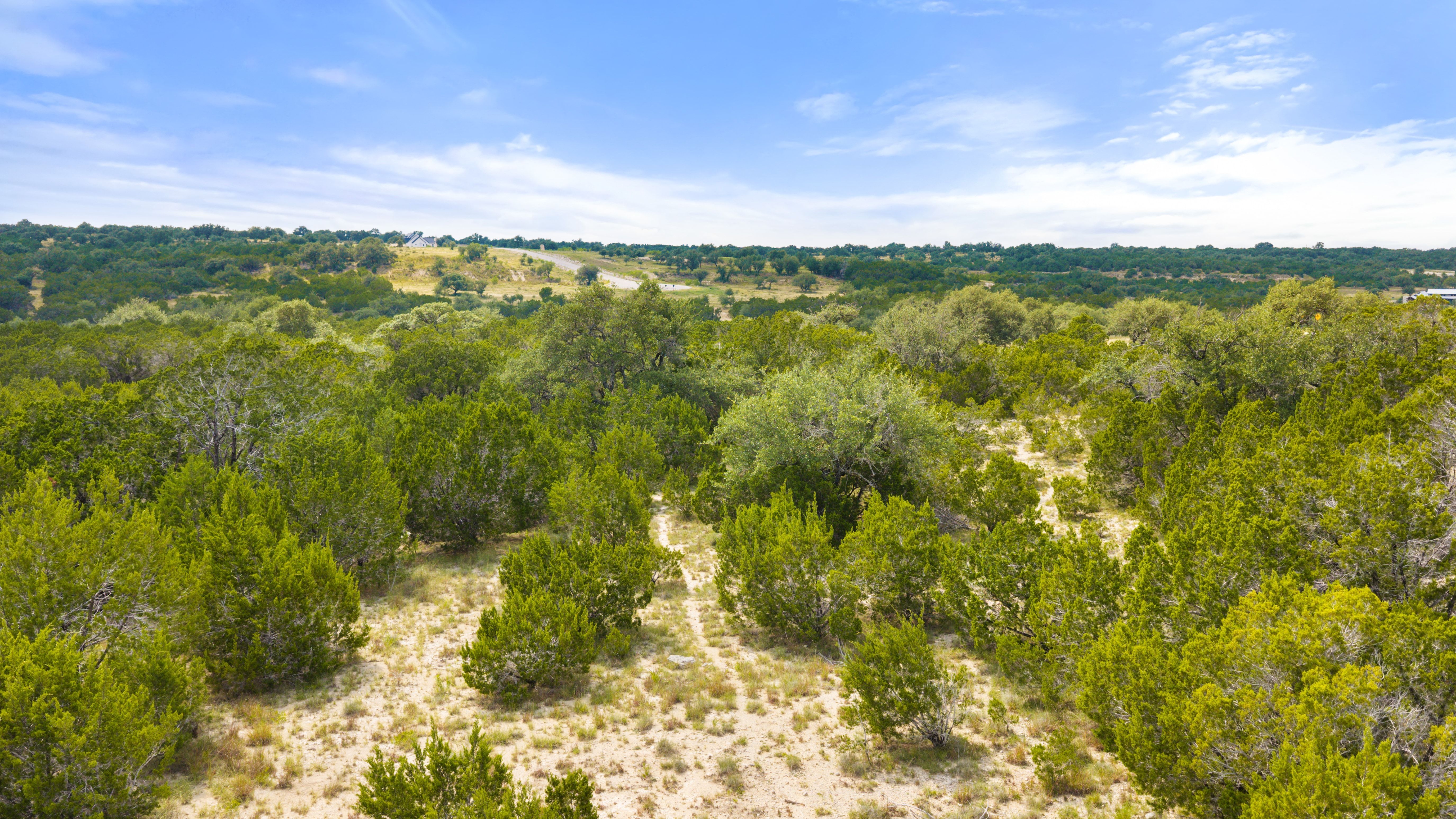  Dream Home Worthy 5 Acre Lot - 147 East Flying Owl Drive - 物件實景