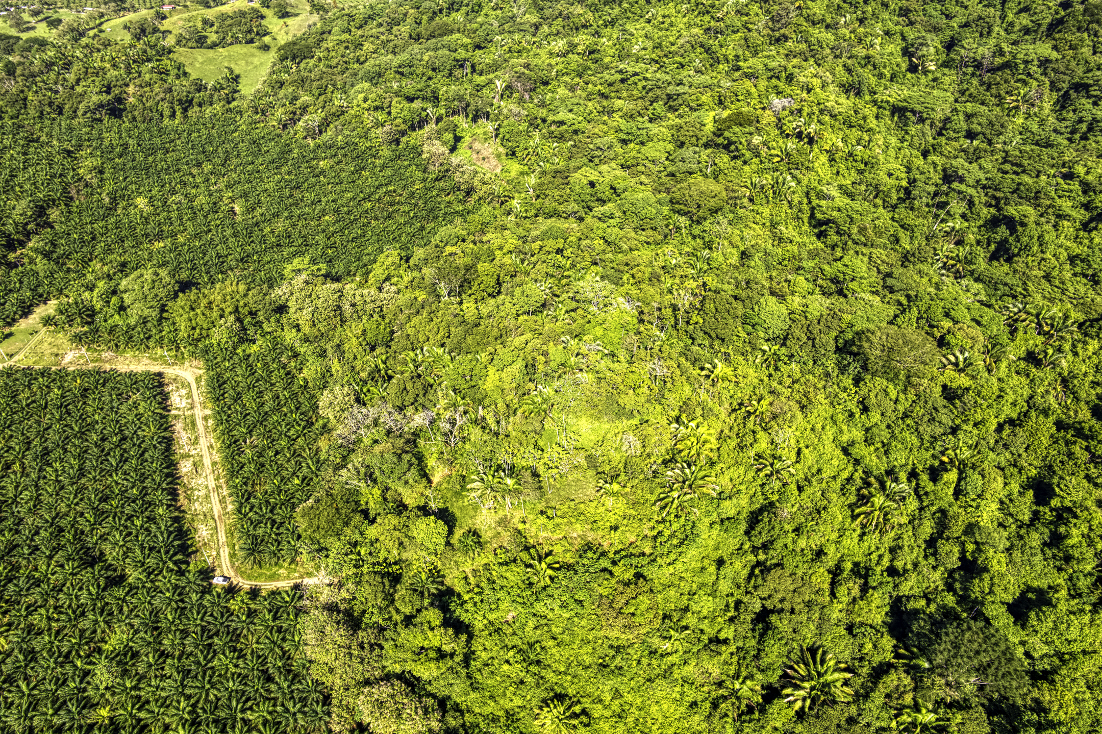 Portalon, Dominical, Puntarenas, CR, ,Land,For Sale,Portalon,1586164