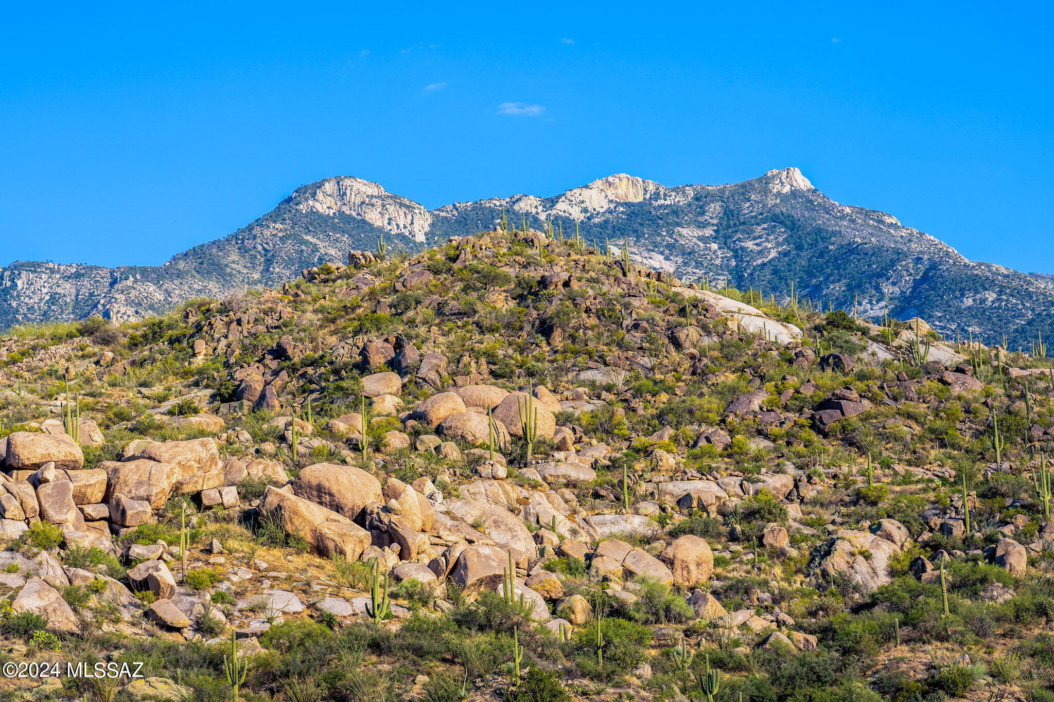Tucson, Arizona, 85739, United States, ,Land,For Sale,1744993
