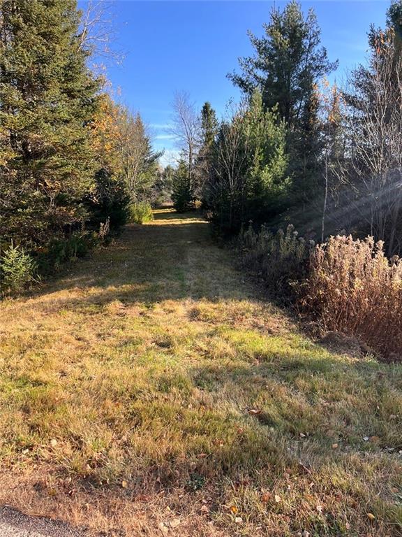 Hayward, Wisconsin, 54843, United States, ,Land,For Sale,1983896