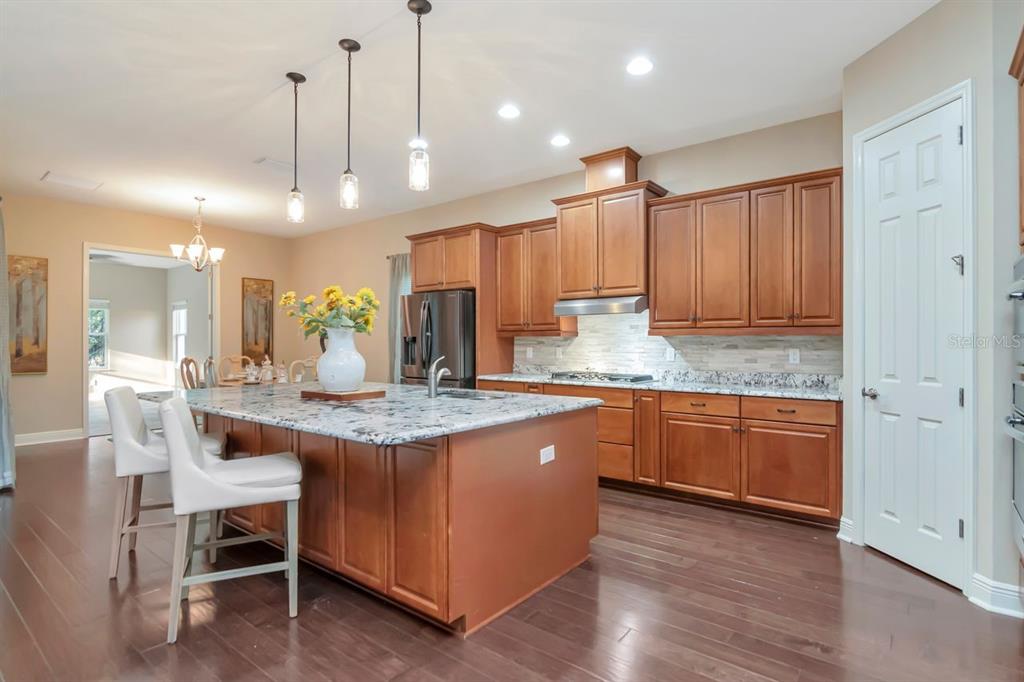 Land O Lakes, Florida, 34638, United States, 5 Bedrooms Bedrooms, ,4 BathroomsBathrooms,Residential,For Sale,2003047