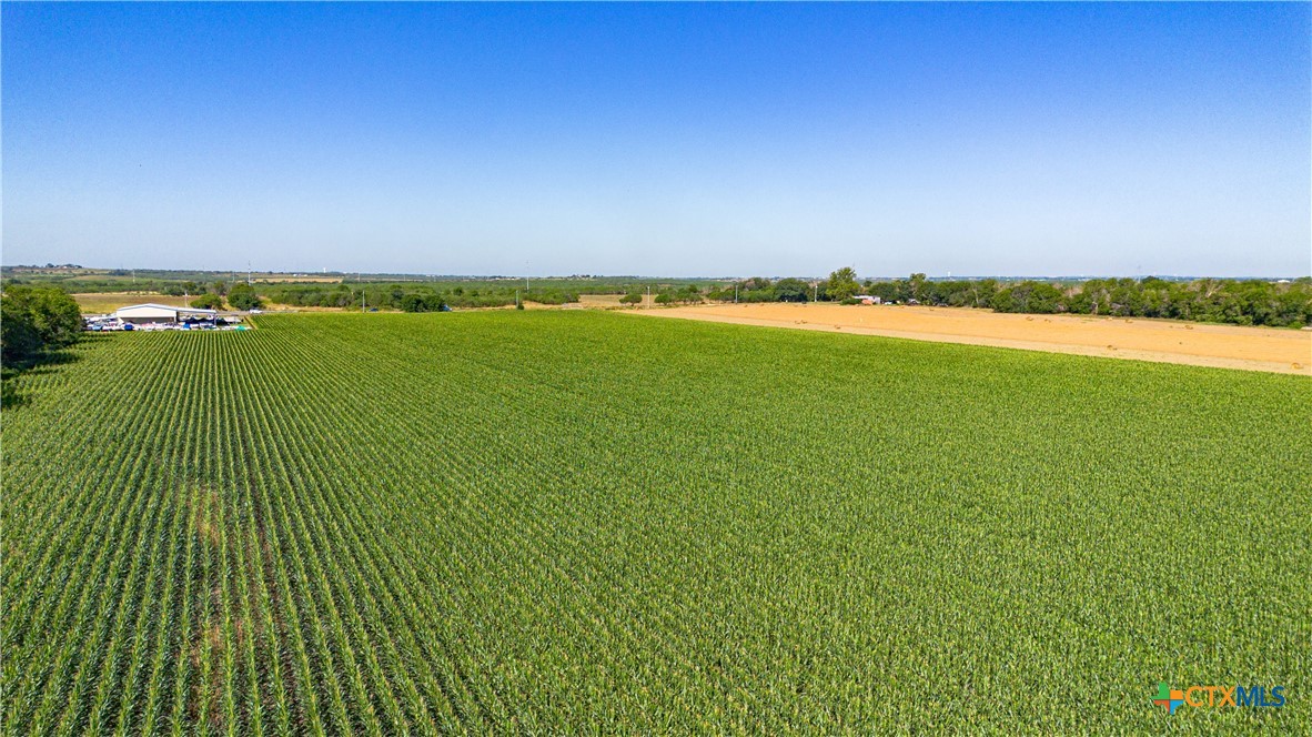 Mcqueeney, Texas, 78123, United States, ,Land,For Sale,2049339