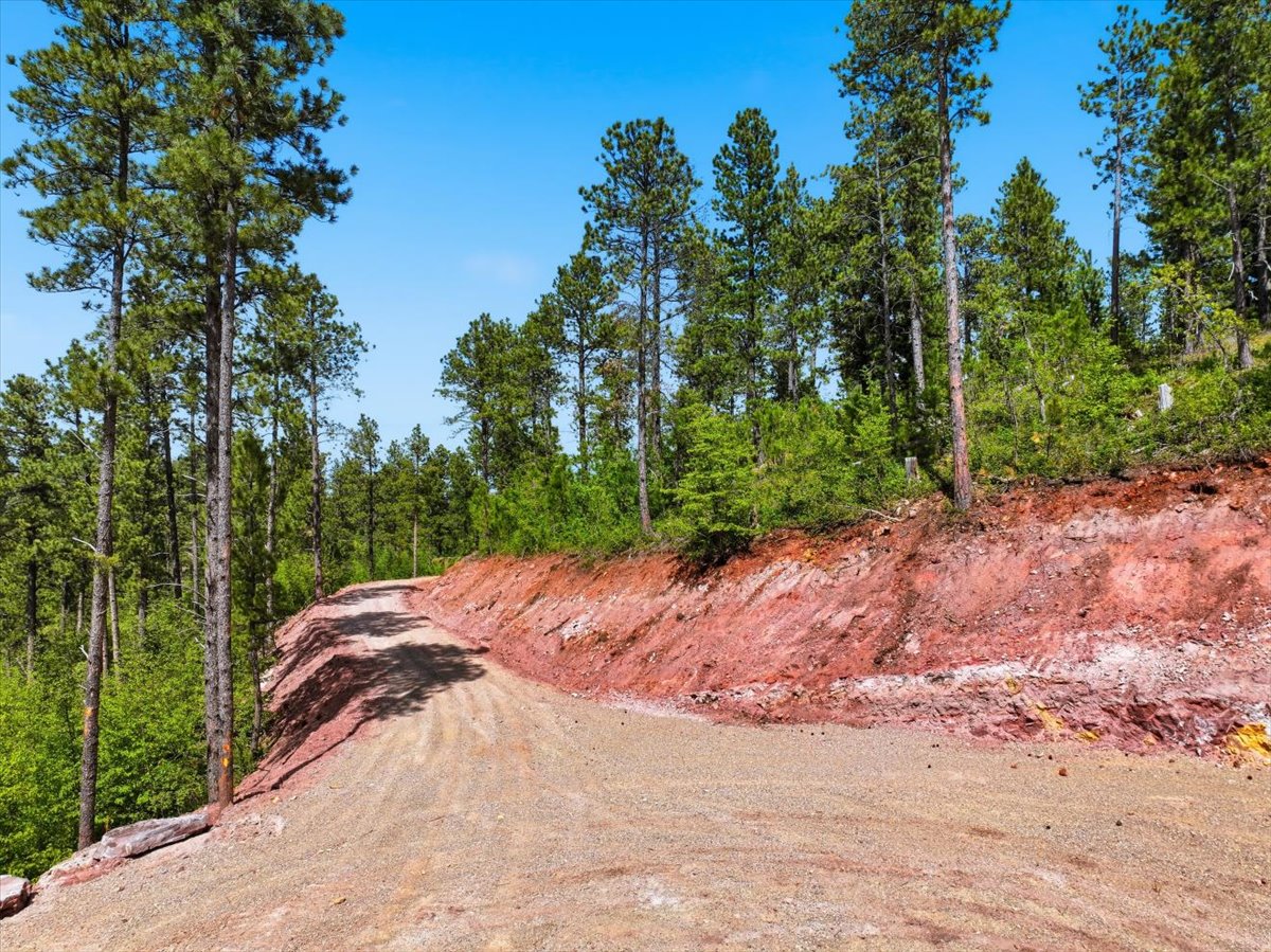 Spearfish, South Dakota, 57783, United States, ,Land,For Sale,2048171