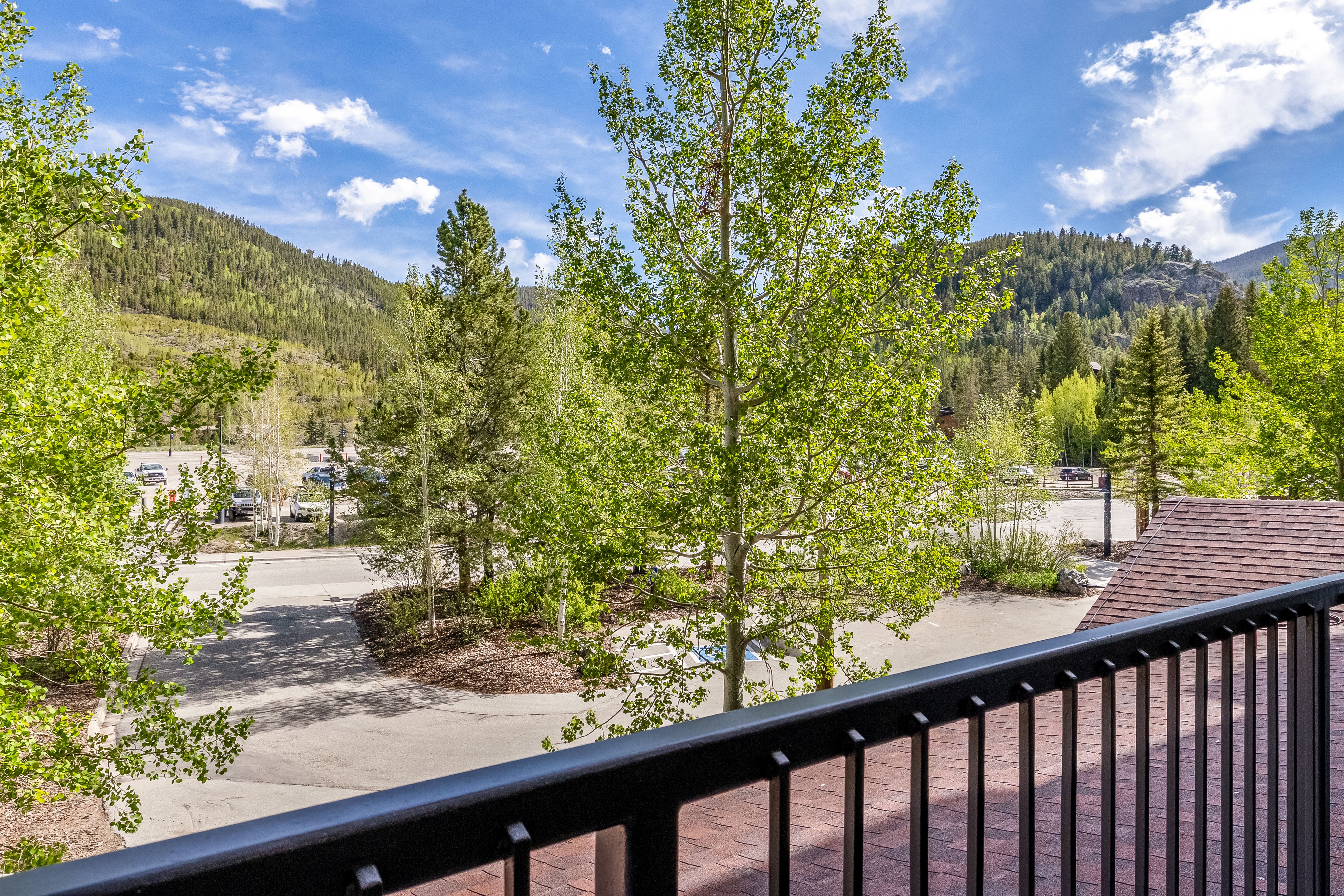  140 Ida Belle Drive, Keystone, CO, 80435 - 物件實景