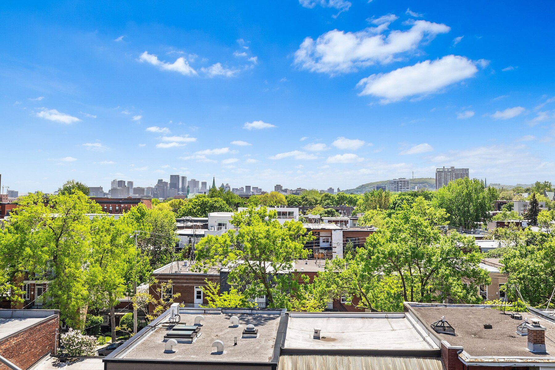  Ville-Marie, Montréal - 物件實景