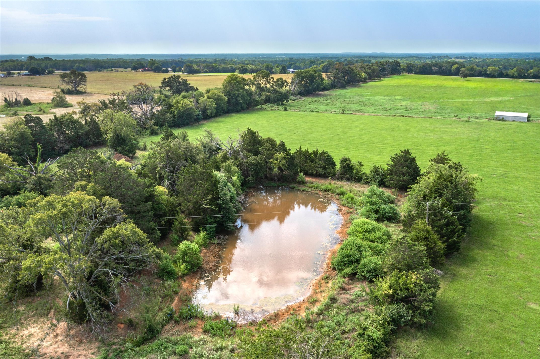 9208 FM 17, Grand Saline, Texas, 75140, United States, 5 Bedrooms Bedrooms, ,6 BathroomsBathrooms,Residential,For Sale,9208 FM 17,1317594