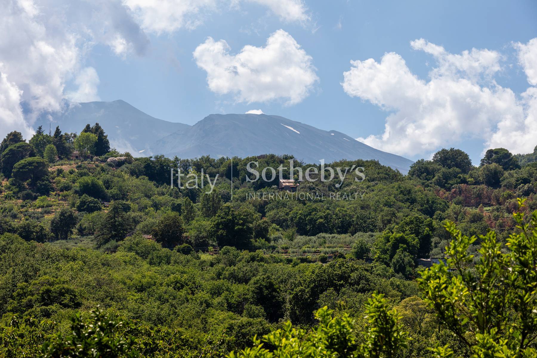  An authentic Sicilian residence among citrus groves, the sea and Mount Etna - 物件實景