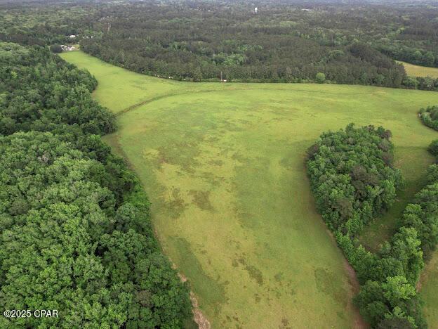 Vernon, Florida, 32462, United States, ,Residential,For Sale,1795705