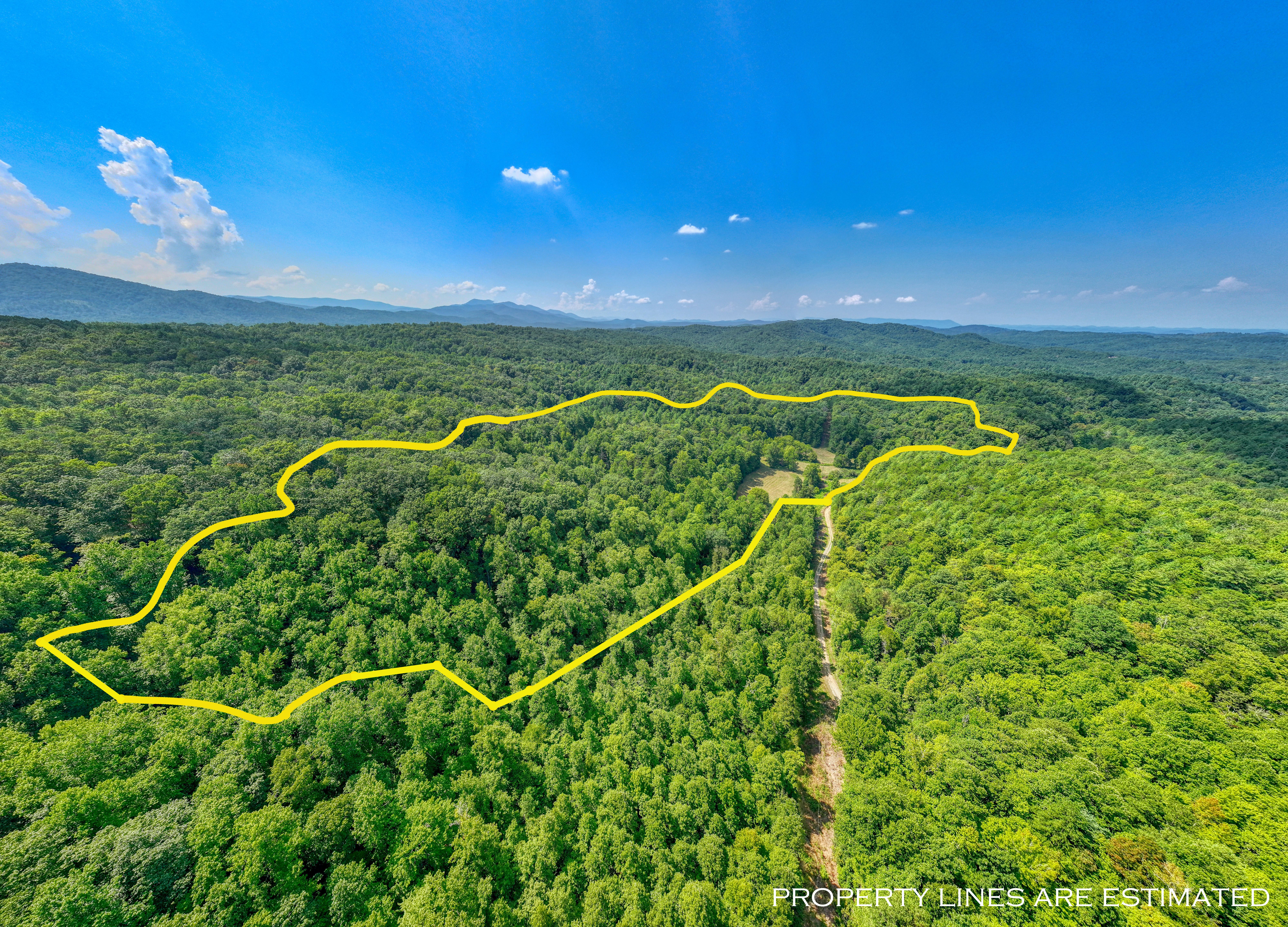  Belcher Loop, Tellico Plains, TN 37385 - 物件實景