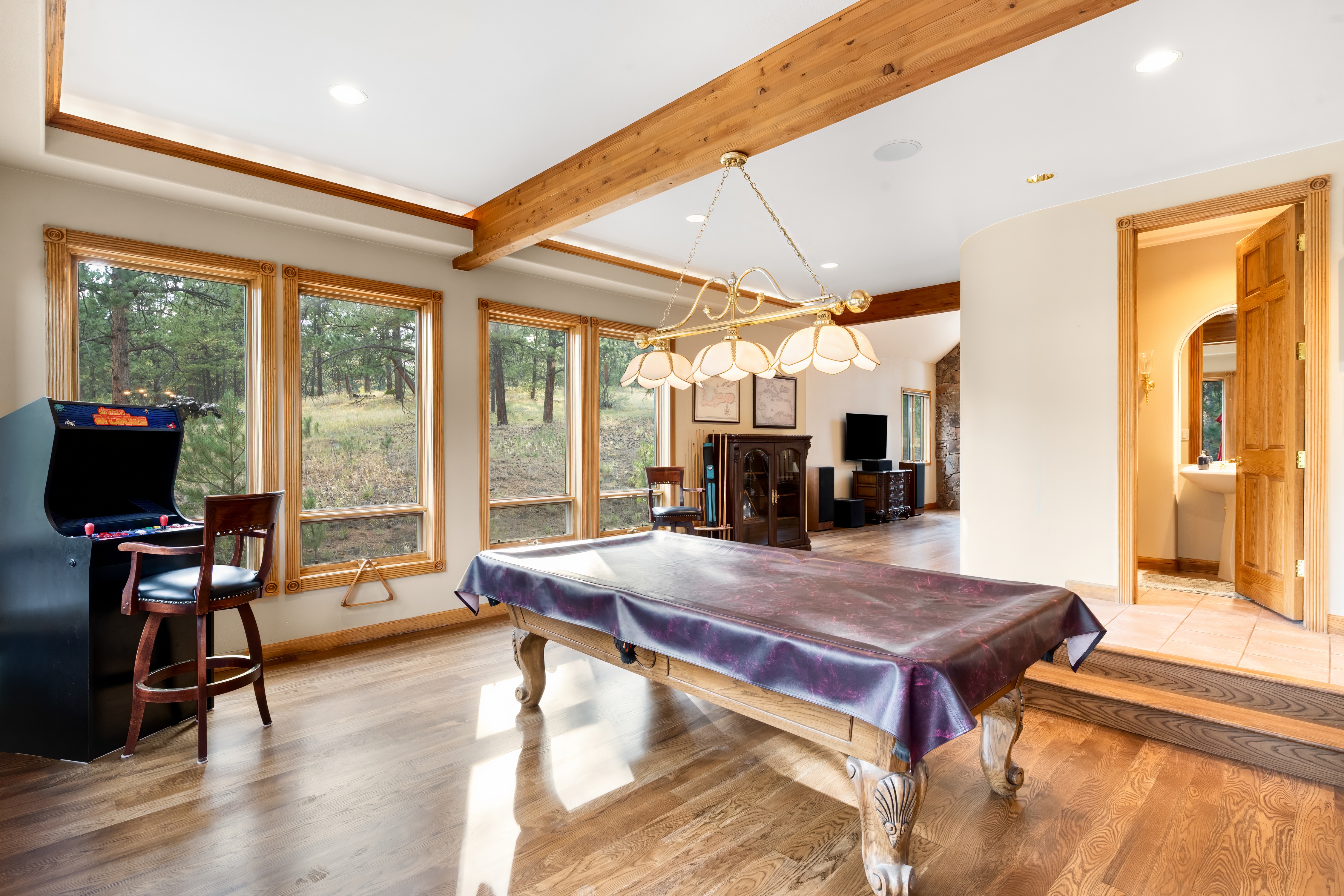  Colorado Living in Impressive 8,200 sq ft Home Backing to Pike National Forest - 物件實景