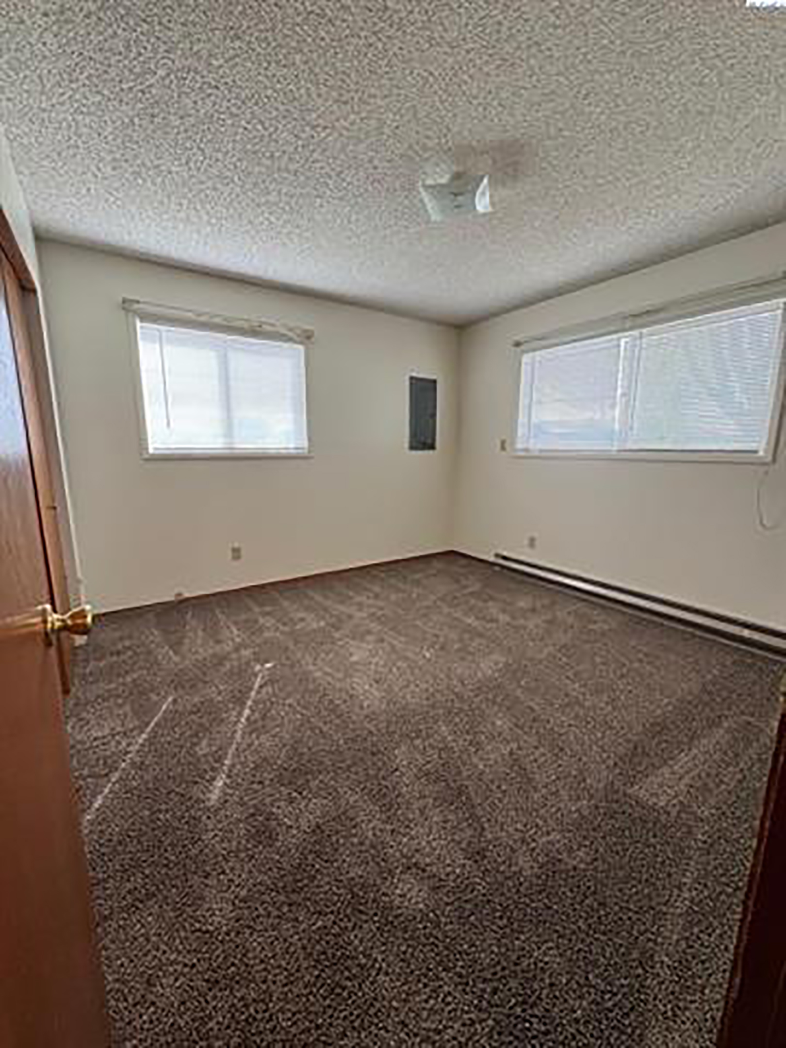  New Paint And New Flooring - 物件實景