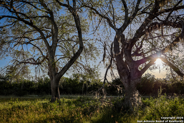 Beeville, Texas, 78102, United States, ,Land,For Sale,1942121