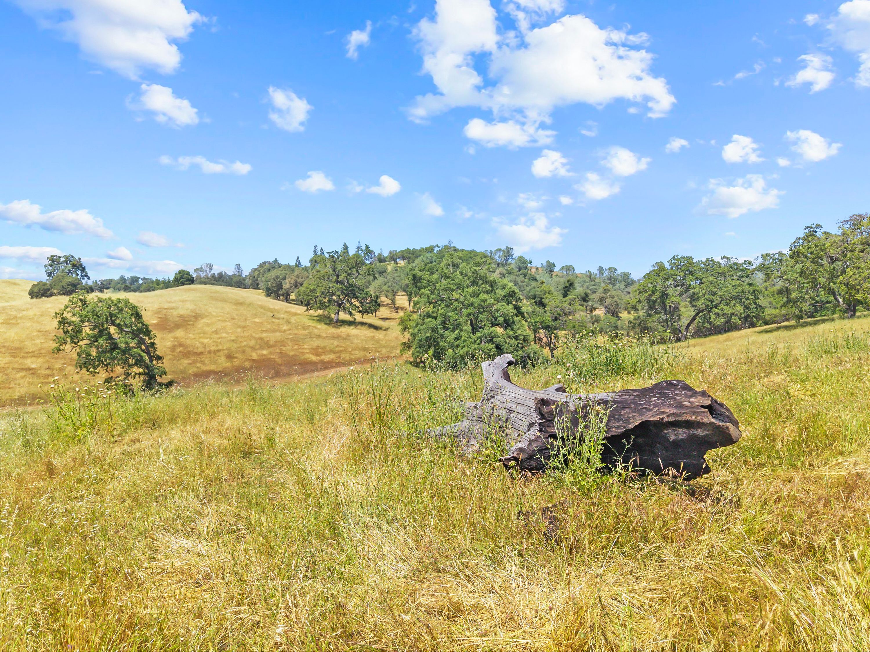  Amoruso Ranch 1000+ Acres Legacy - 物件實景