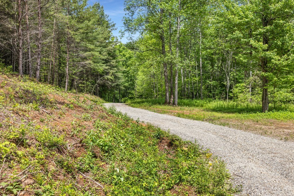 Blairsville, Georgia, 30512, United States, ,Residential,For Sale,1824066