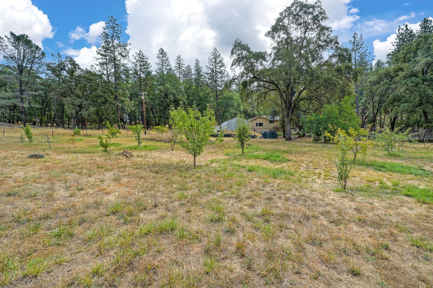  Spacious Grass Valley Country Property, 5 acres, shop and pond - 物件實景