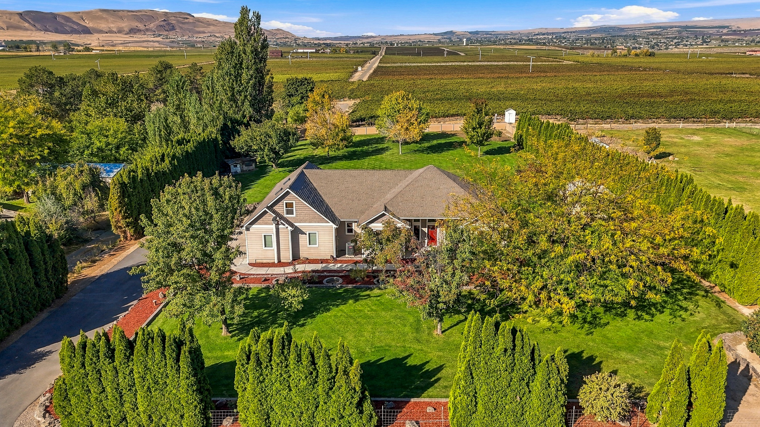  1.25 acres w vineyard views/mountain custom home - 物件實景