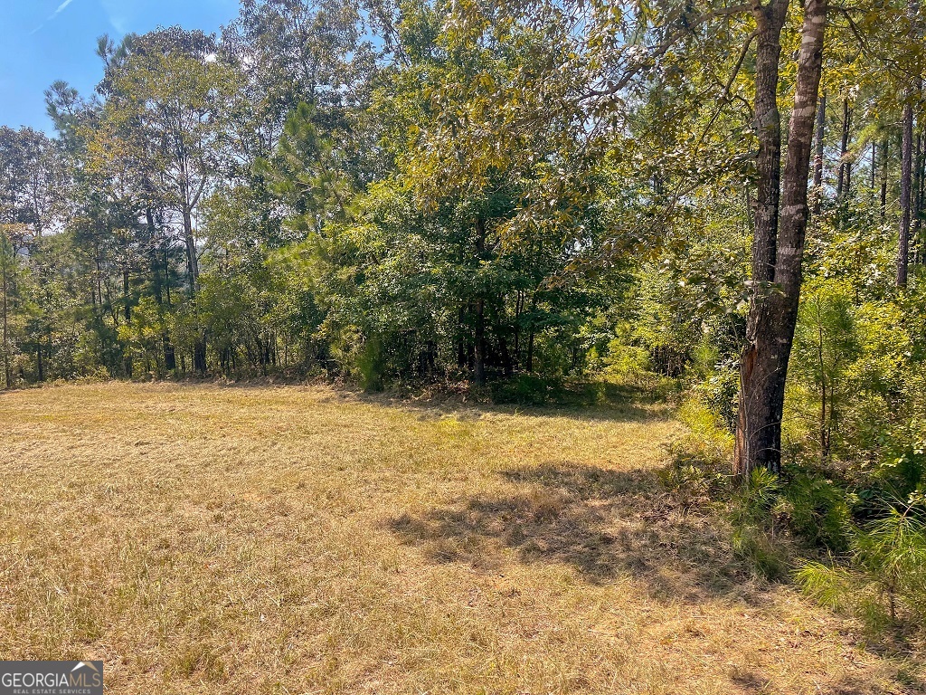 Bowman, Georgia, 30624, United States, ,Land,For Sale,1988197