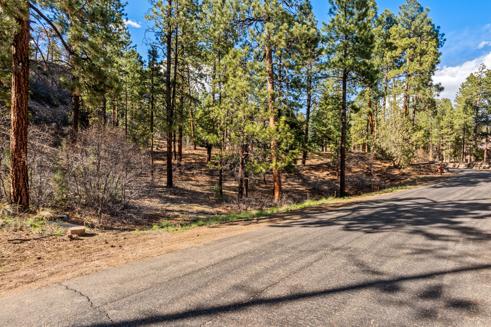  47 Ambush Canyon, Durango, CO 81301 - 物件實景