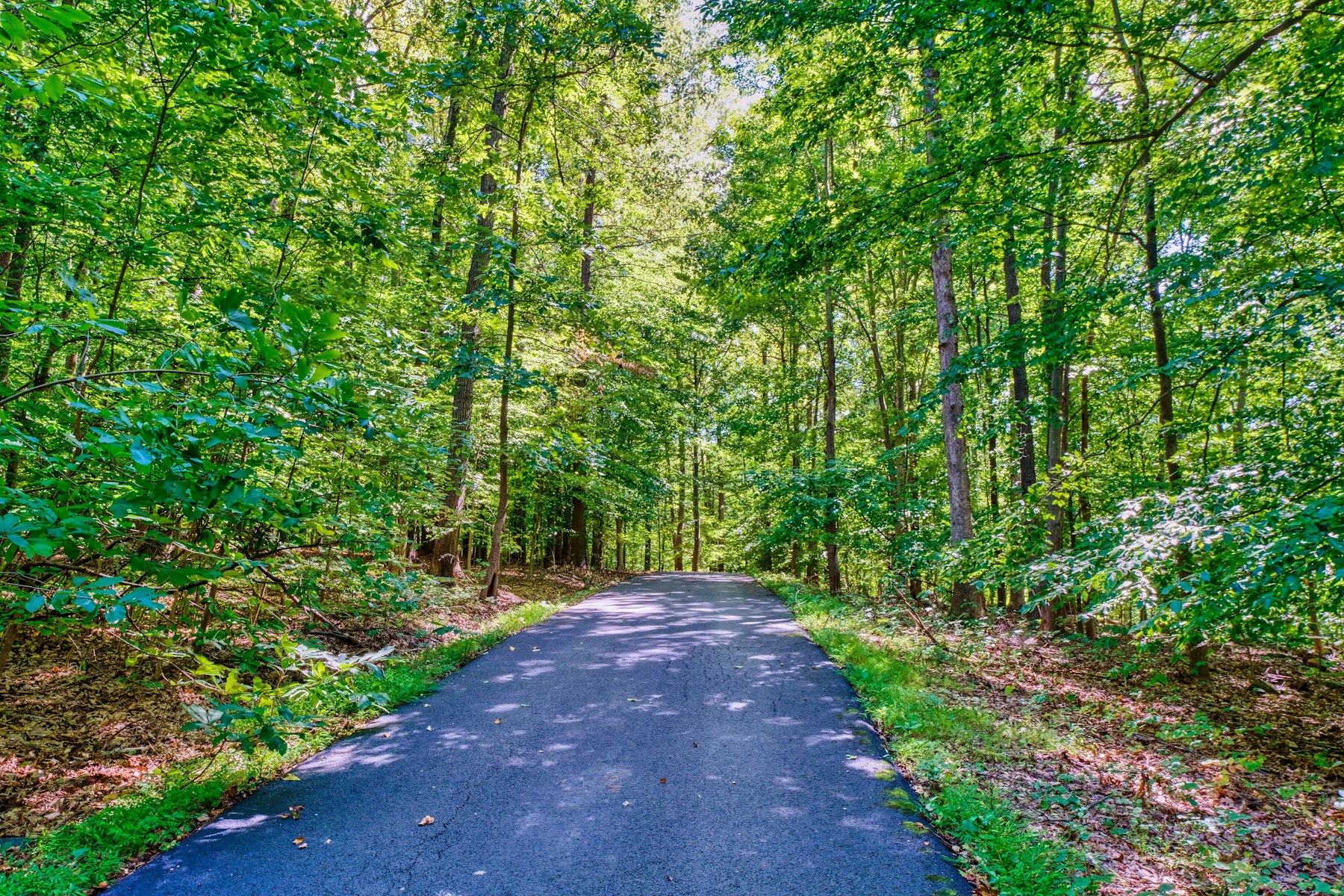  13442 Loyalty Road, Leesburg, VA, 20176 - 物件實景