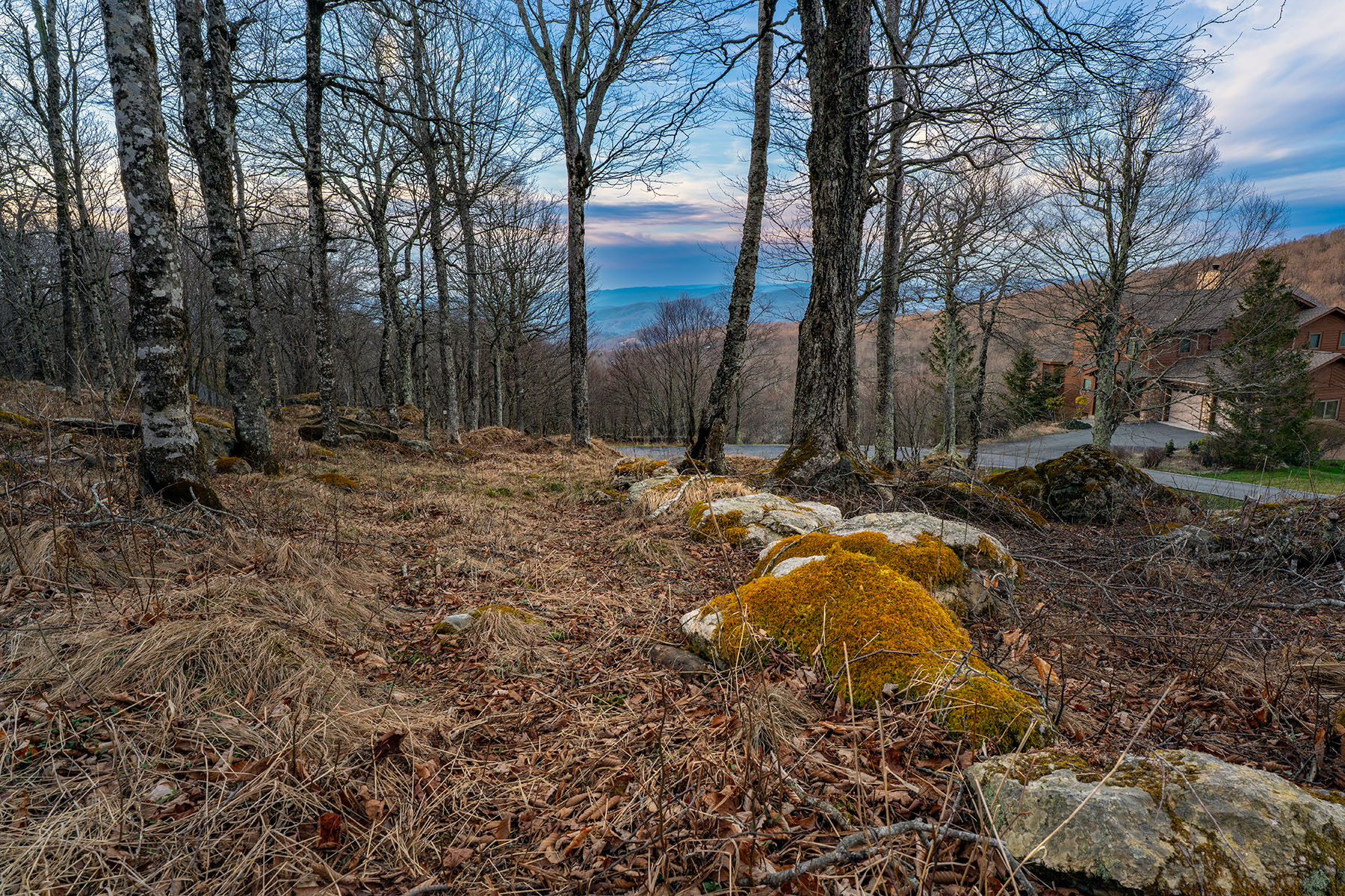  WOODLAND MEADOWS - BEECH MOUNTAIN - 物件實景