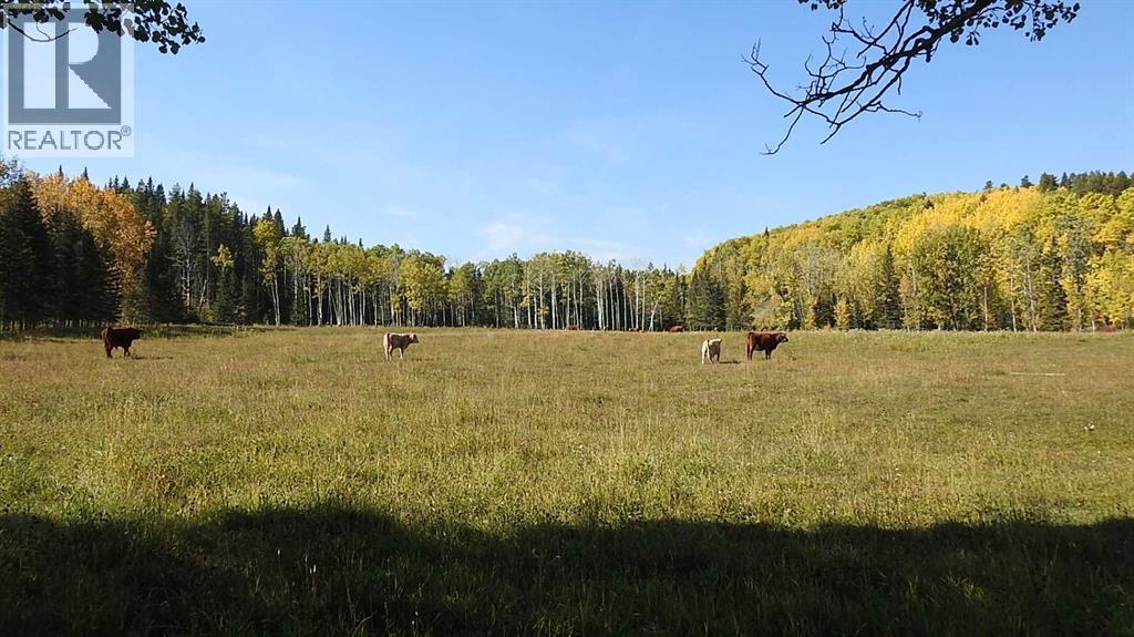 RURAL FOOTHILLS COUNTY, Alberta, T0L 1K0, CA, ,Residential,For Sale,1947264