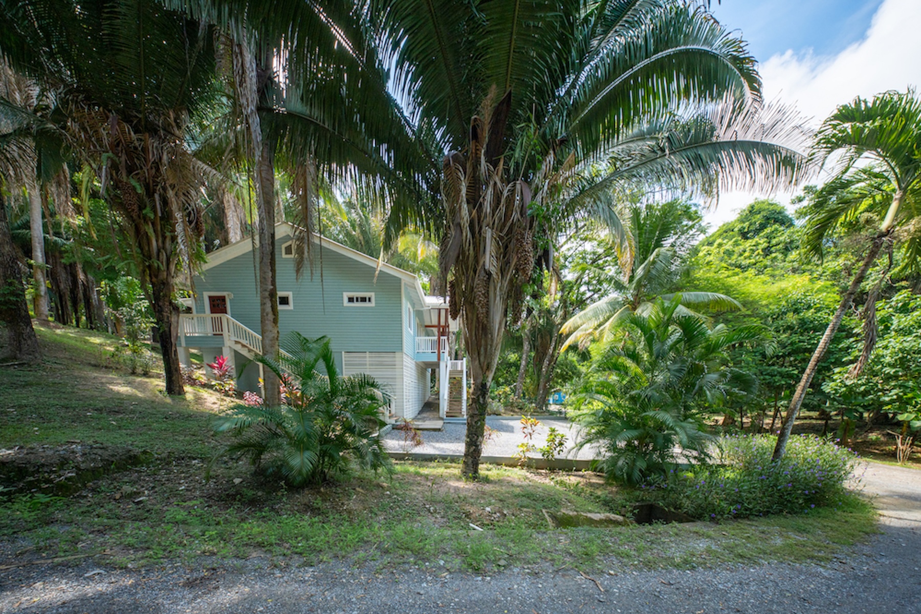  Charming Turnkey Tropical Home in Palmetto Bay - 物件實景