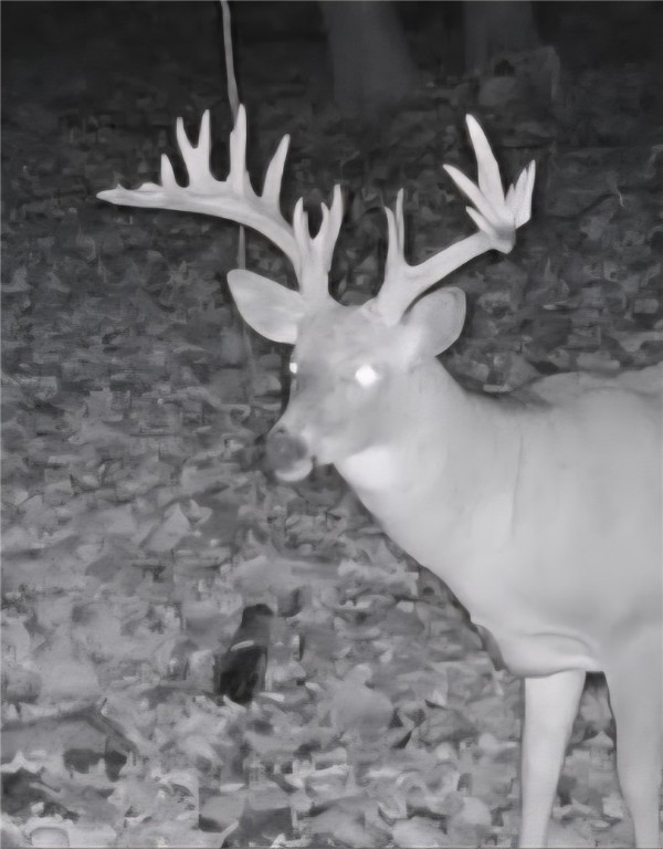 Chetek, Wisconsin, 54728, United States, 2 Bedrooms Bedrooms, ,2 BathroomsBathrooms,Residential,For Sale,1939272