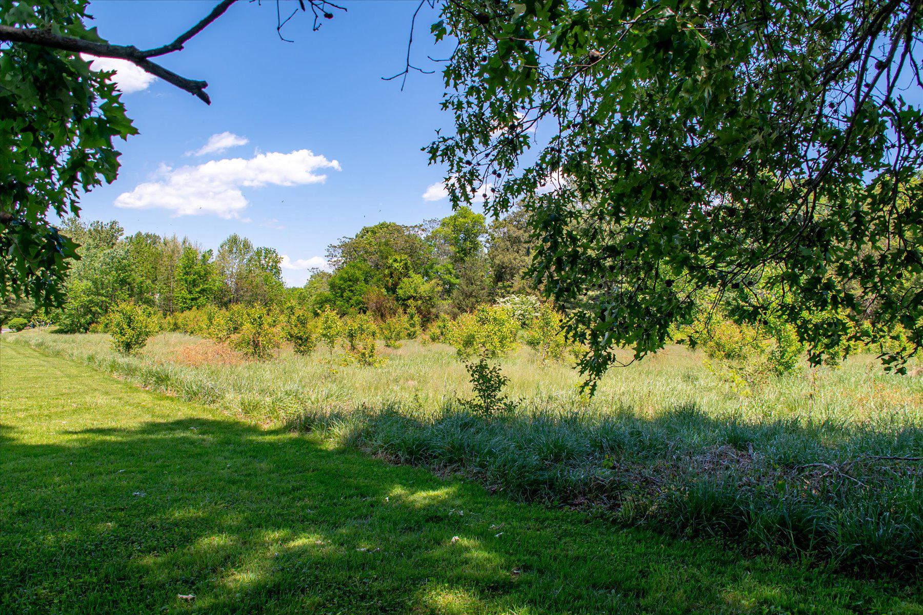  5503 Brooks Woods Road, Lothian, MD, 20711 - 物件實景