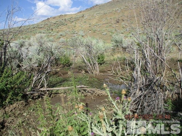 Orovada, Nevada, 89425, United States, ,Residential,For Sale,1860452