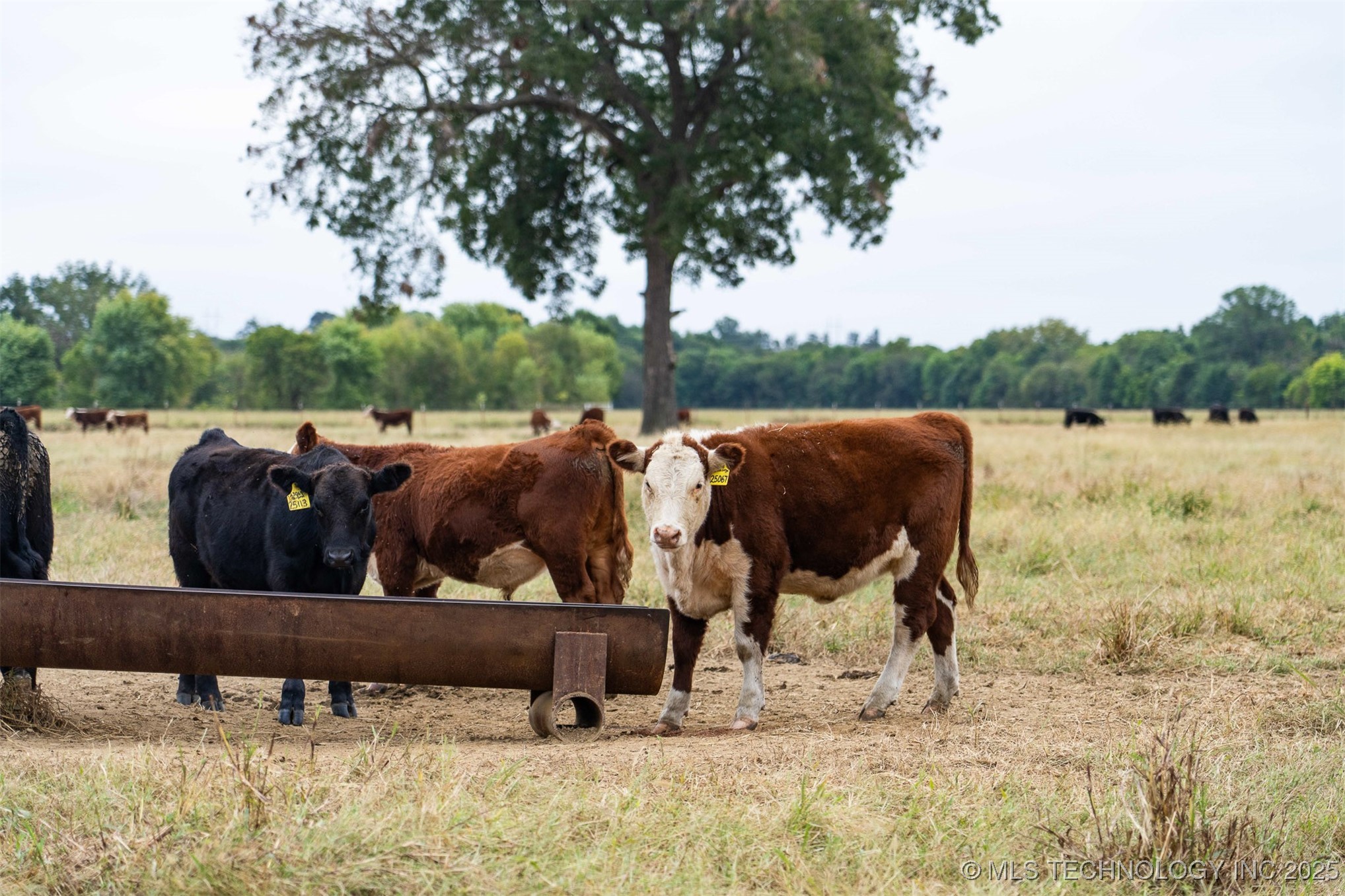 Haskell, Oklahoma, 74436, United States, ,Residential,For Sale,1989058