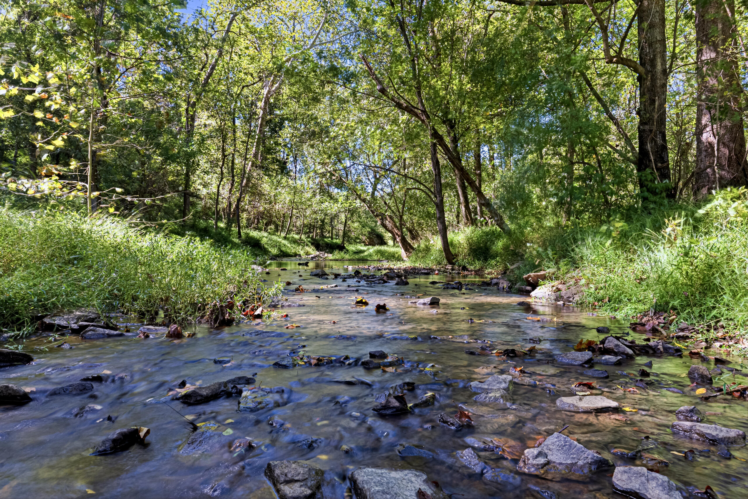  36155 Chamblin Mill Lane, Purcellville, VA, 20132 - 物件實景