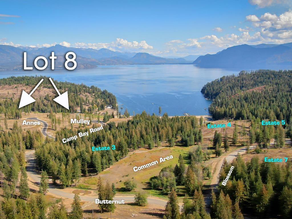 Sagle, Idaho, 83860, United States, ,Land,For Sale,1980438