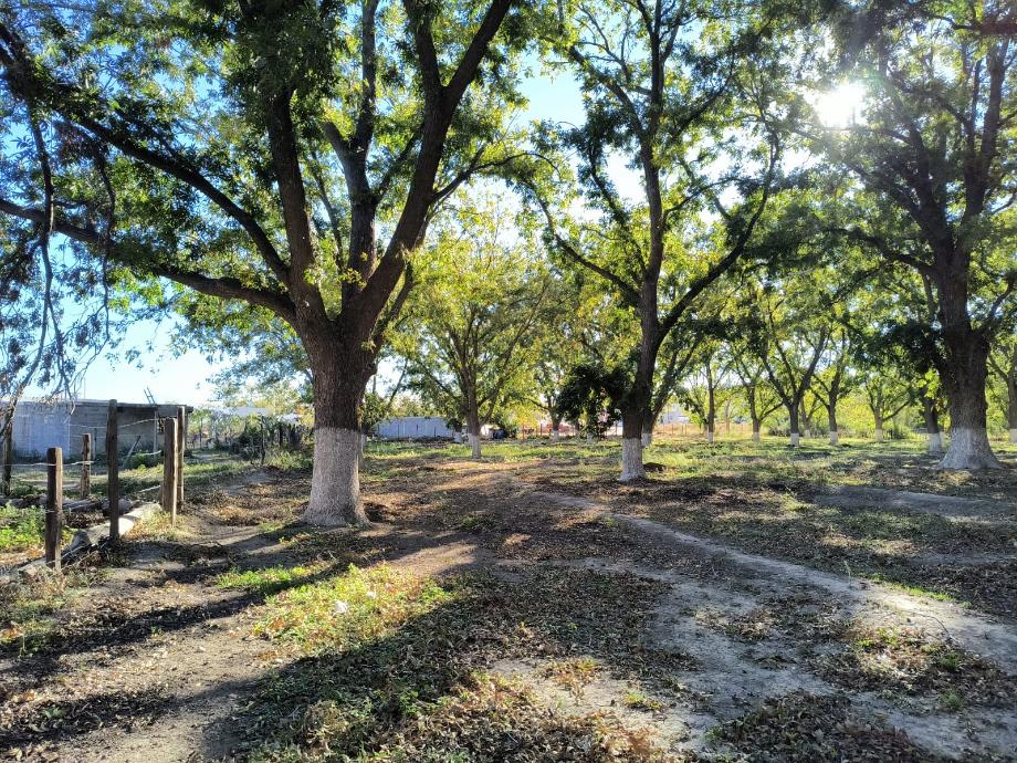 Parras, Coahuila de Zaragoza, 27987, Mexico, 1 Bedroom Bedrooms, ,Residential,For Sale,1695187
