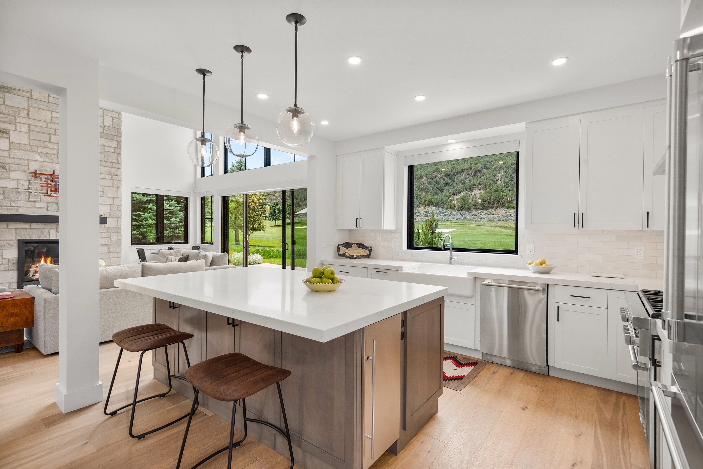  303 Golden Bear Drive, Carbondale, CO 81623 - 物件實景