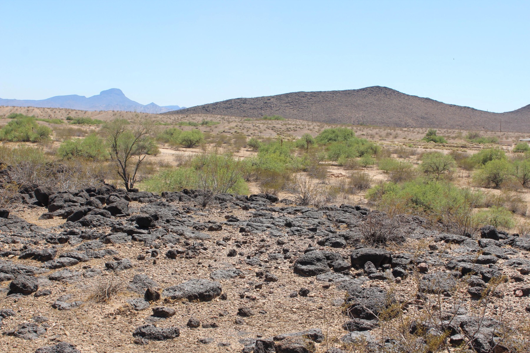  11 S 337th Avenue, Arlington, AZ, 85322 - 物件實景