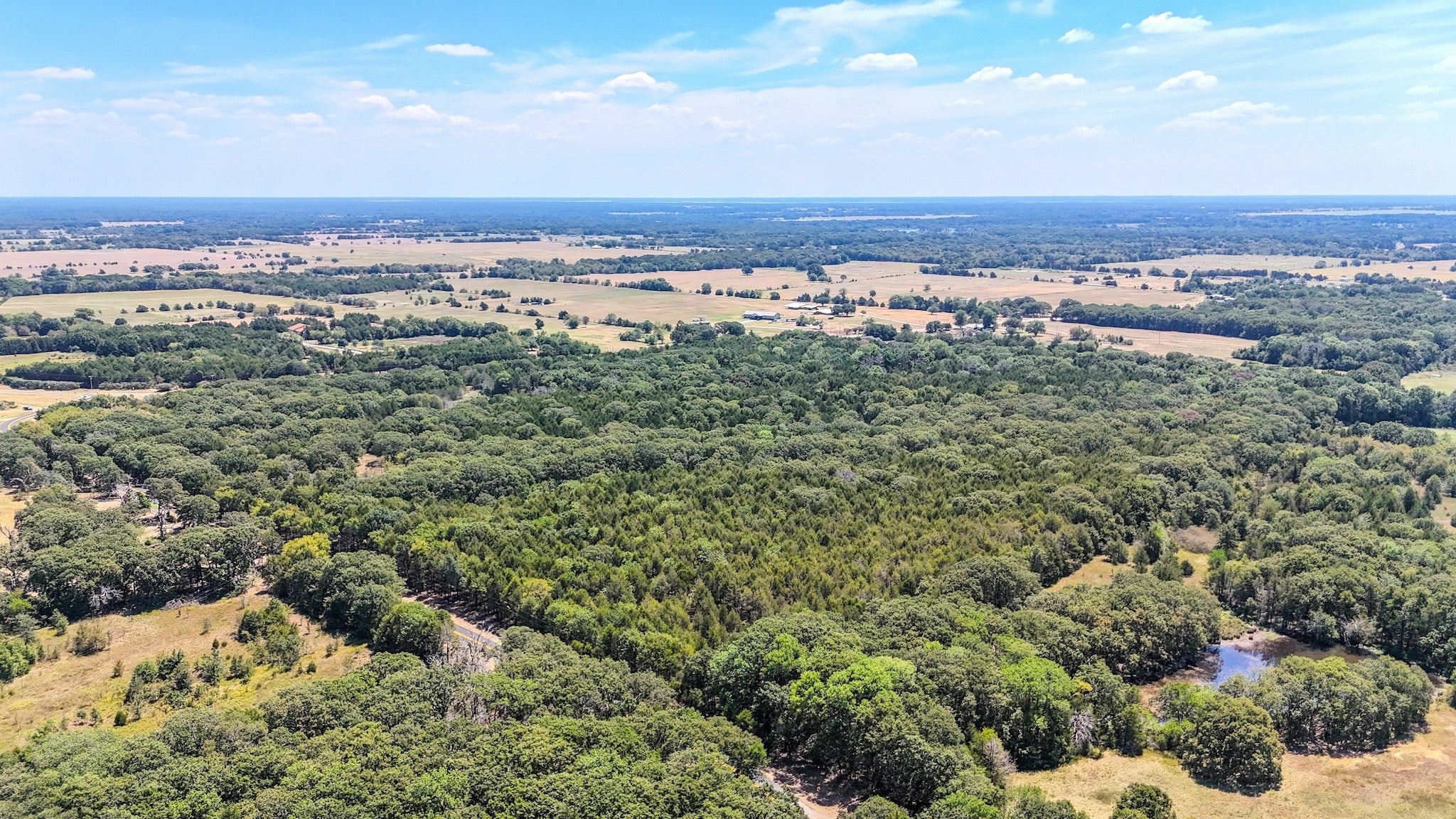 Ivanhoe, Texas, 75447, United States, ,Land,For Sale,1973742