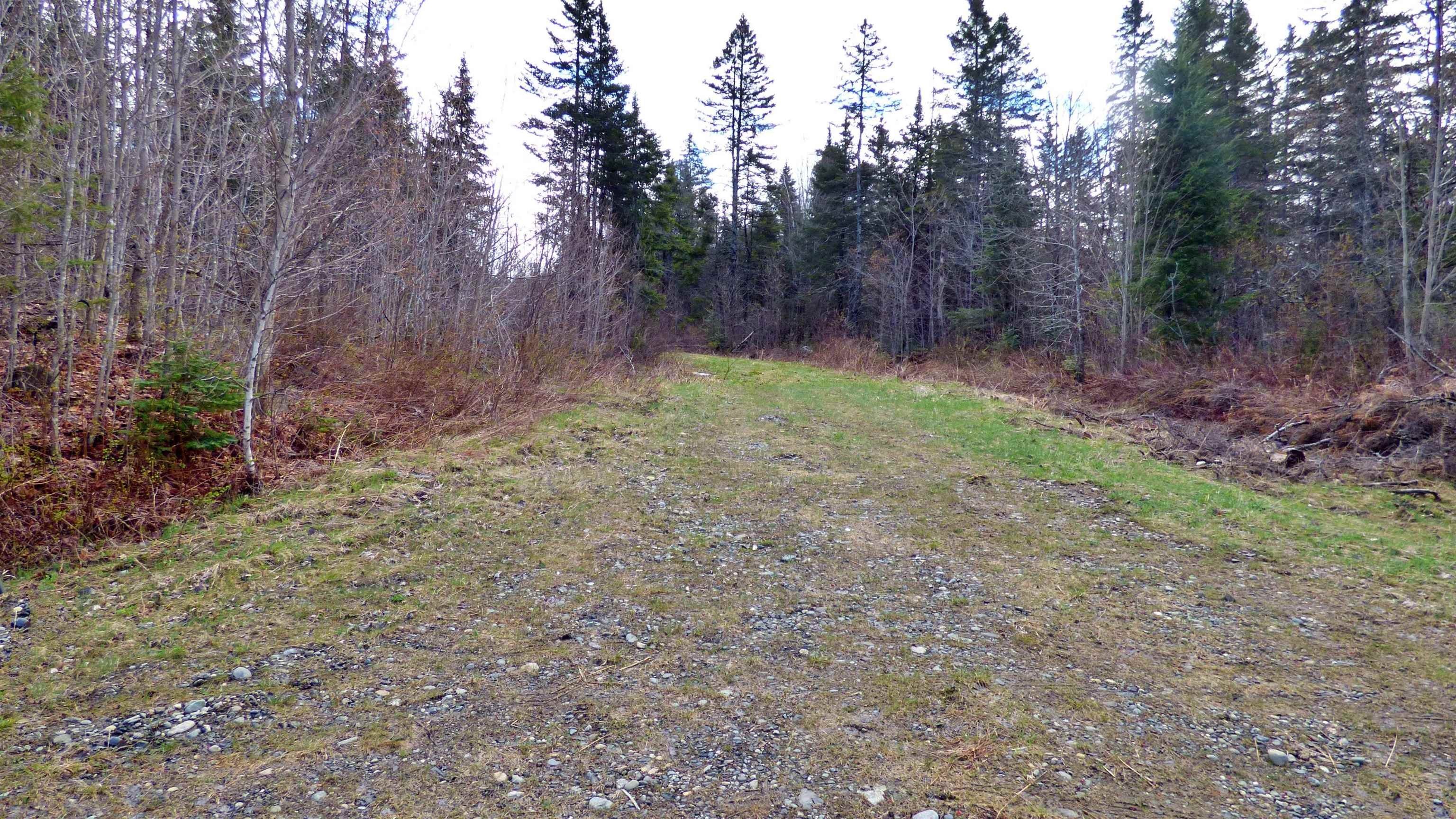 Wheelock, Vermont, 05851, United States, ,Land,For Sale,2017669
