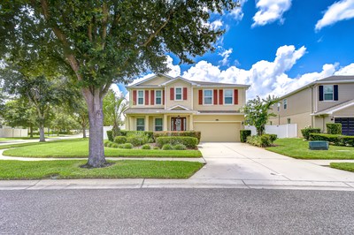 Land O Lakes, Florida, 34639, United States, 4 Bedrooms Bedrooms, ,3 BathroomsBathrooms,Residential,For Sale,1937225