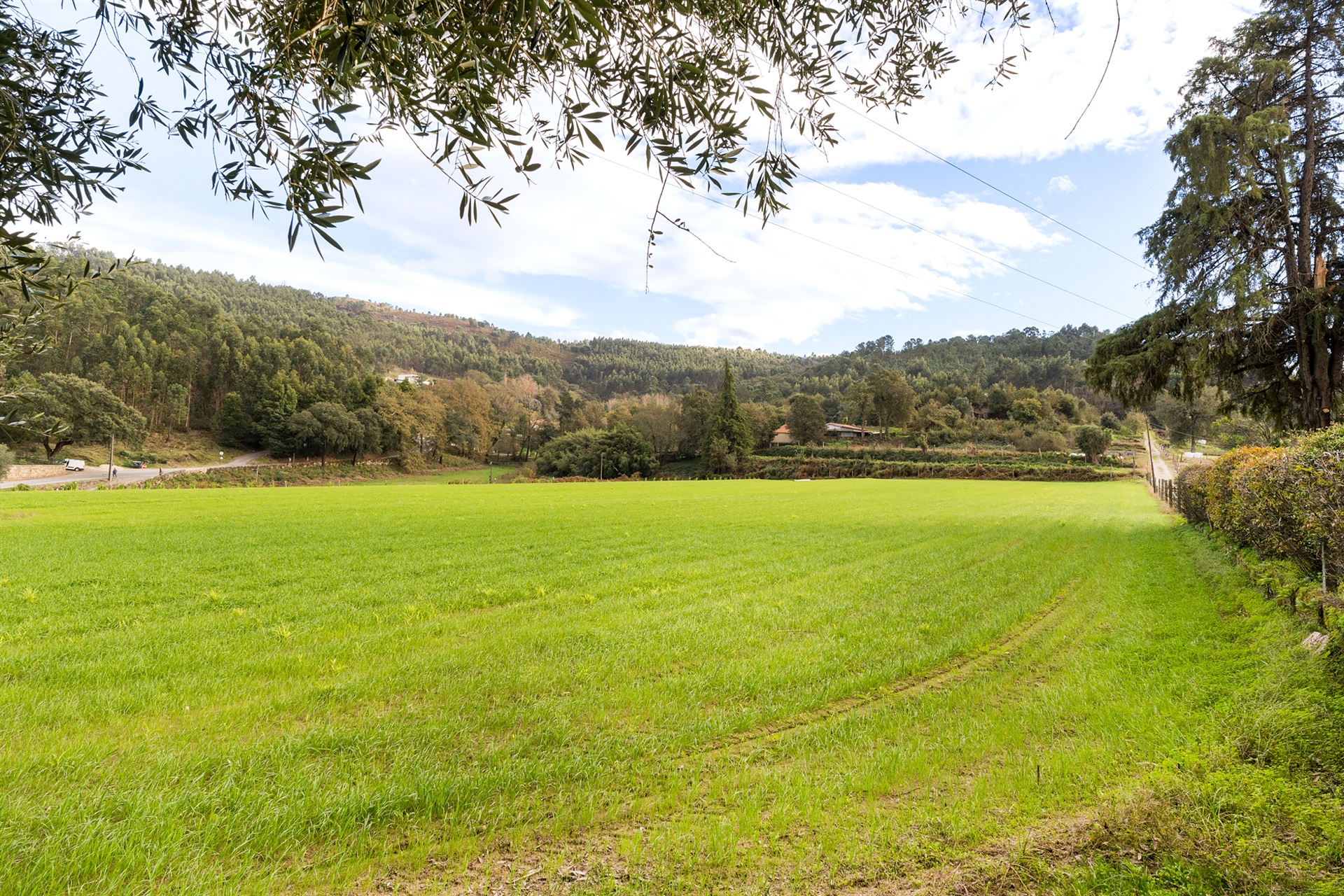  Farm, 6 bedrooms, for Sale - 物件實景