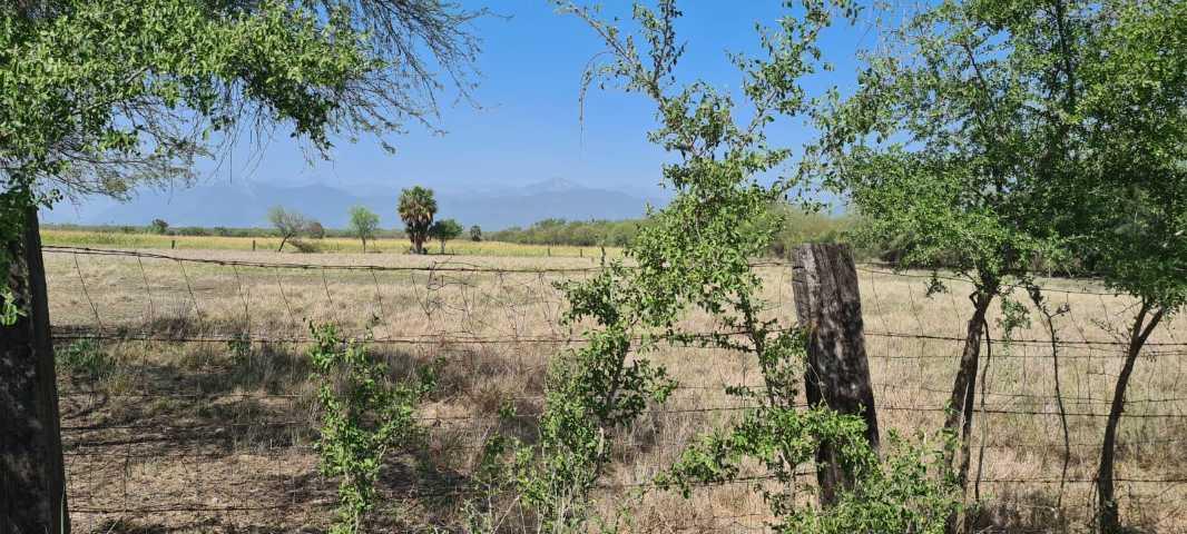 EJI SAN JUAN DE LOS GARZA, Cadereyta Jiménez, Nuevo León, 67459, Mexico, 1 Bedroom Bedrooms, ,Residential,For Sale,EJI SAN JUAN DE LOS GARZA,1440992