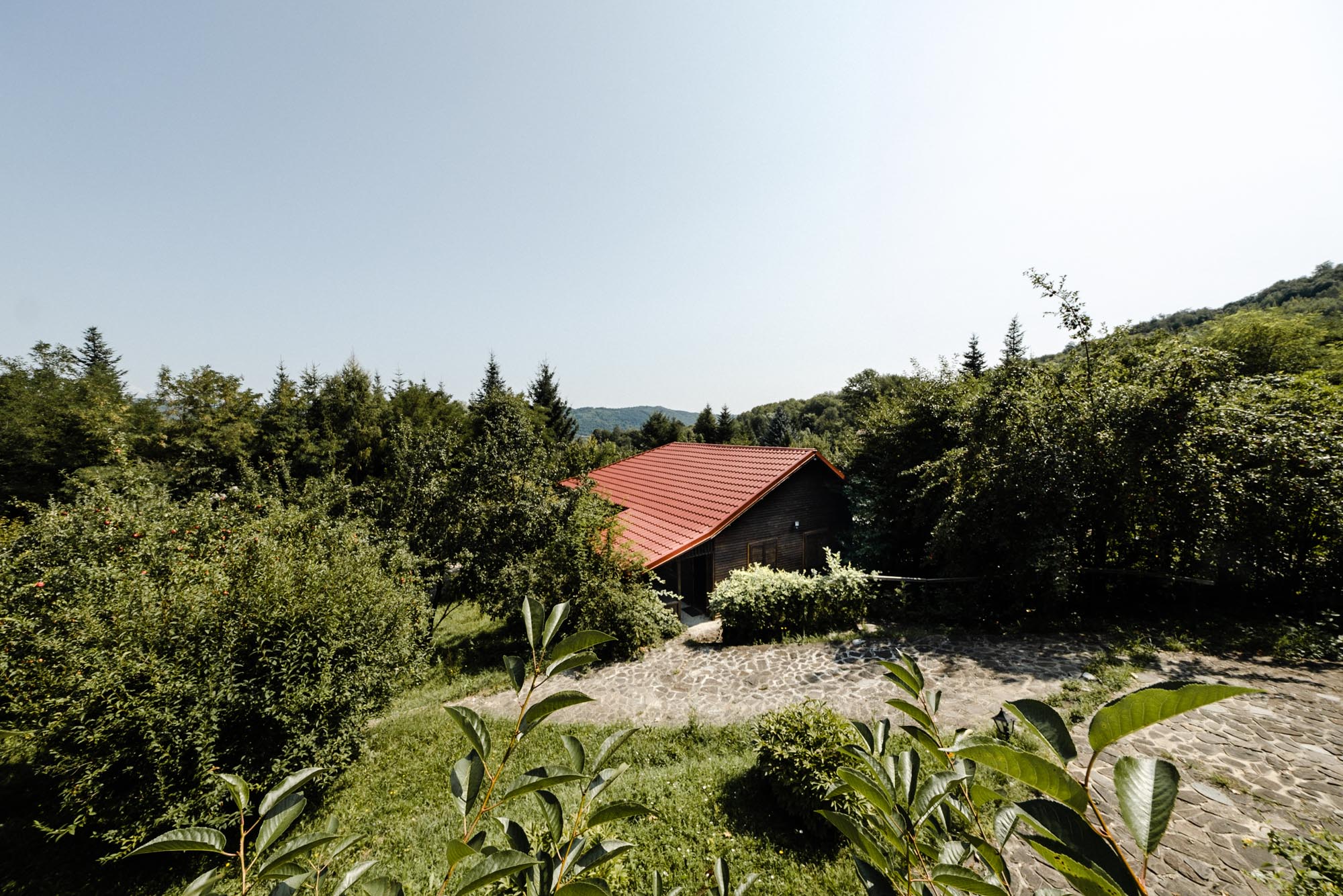  Private Estate of Over 2,500 Sq M at the Edge of the Forest, Breaza - 物件實景