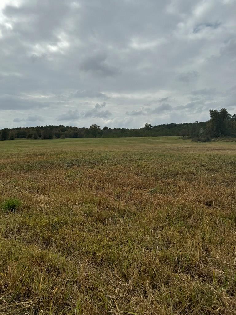 CHATSWORTH, Georgia, 30705, United States, ,Residential,For Sale,1986542