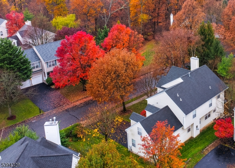 Bernards Twp., New Jersey, 07920, United States, 5 Bedrooms Bedrooms, ,3 BathroomsBathrooms,Residential,For Sale,1992949
