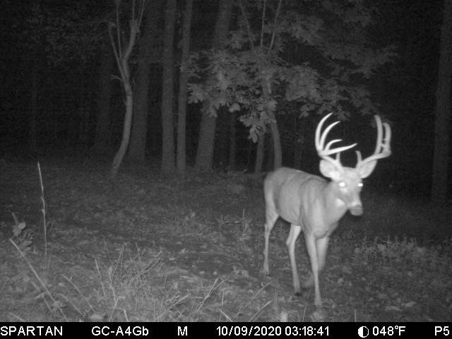 Jay, Vermont, 05859, United States, ,Land,For Sale,1999221