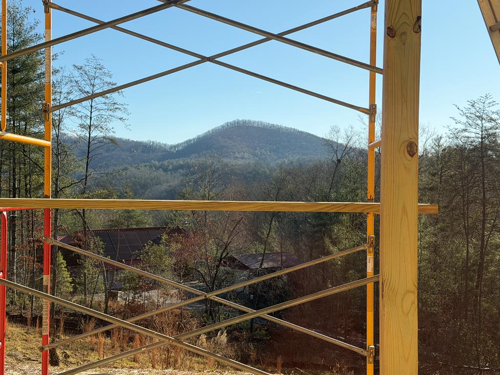 Mineral Bluff, Georgia, 30559, United States, 3 Bedrooms Bedrooms, ,3 BathroomsBathrooms,Residential,For Sale,2006595